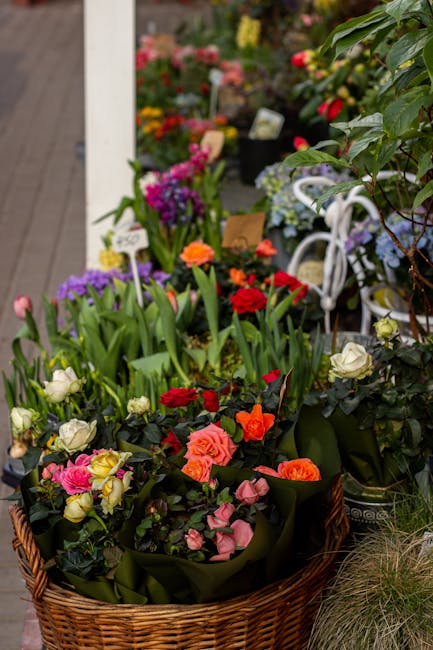 A lush selection of fresh flowering plants arranged in a woven wicker basket, including vibrant red and orange roses, soft pink and cream ranunculus, and purple irises with broad green leaves. The flo